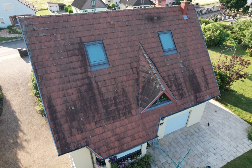 Professionelle Dachreinigung 