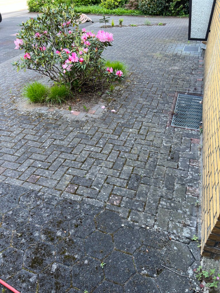 Algen und Schmutz auf Pflastersteinen entfernen