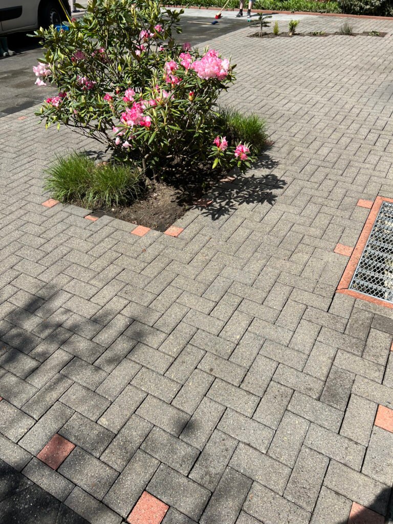 Professionelle Terrassenreinigung deutschlandweit
