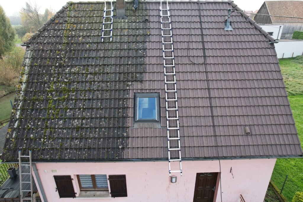 Dachreinigung durch Experten