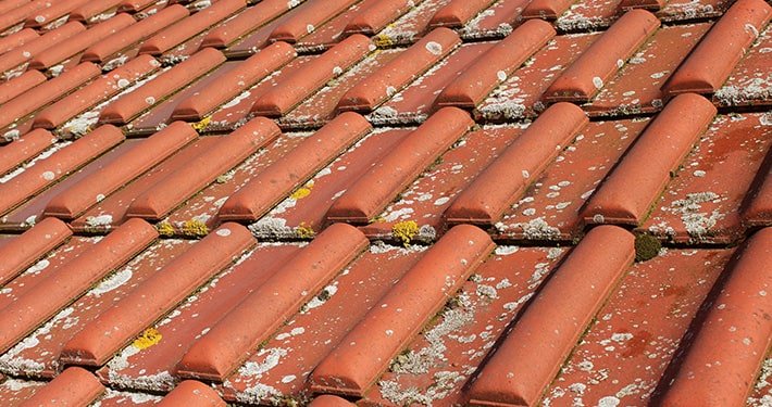 Dachimprägnierung mit wasserabweisender Schutzschicht