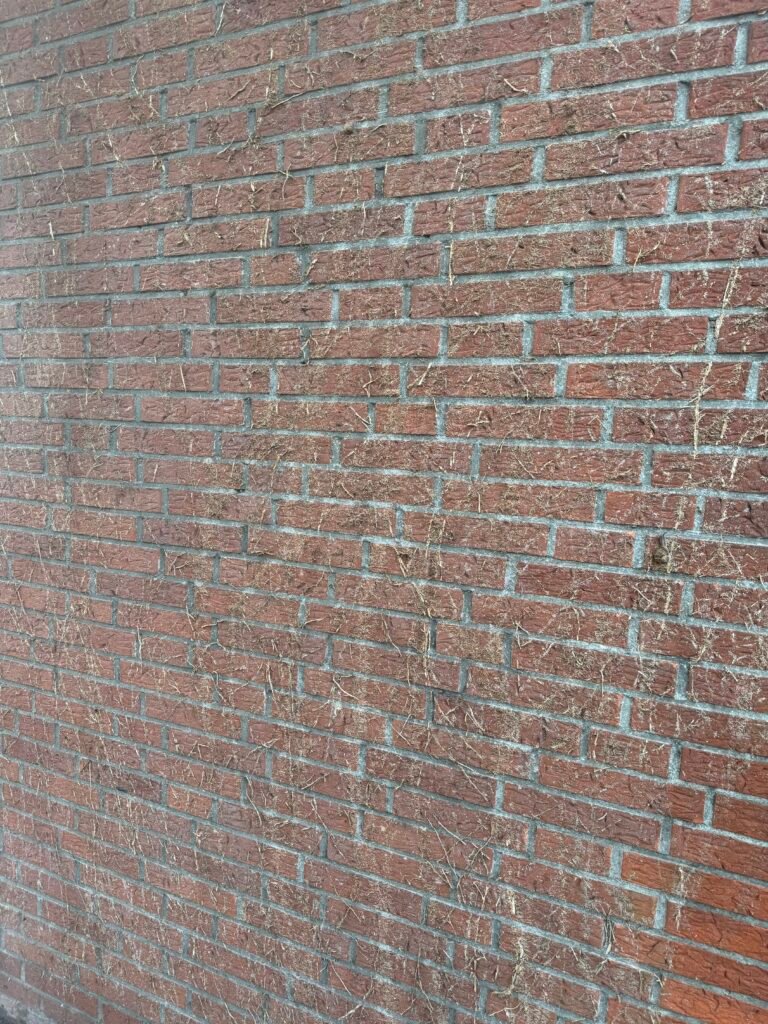 Außenfassade vor und nach der Reinigung