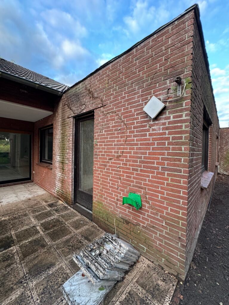 algen entfernung fassade